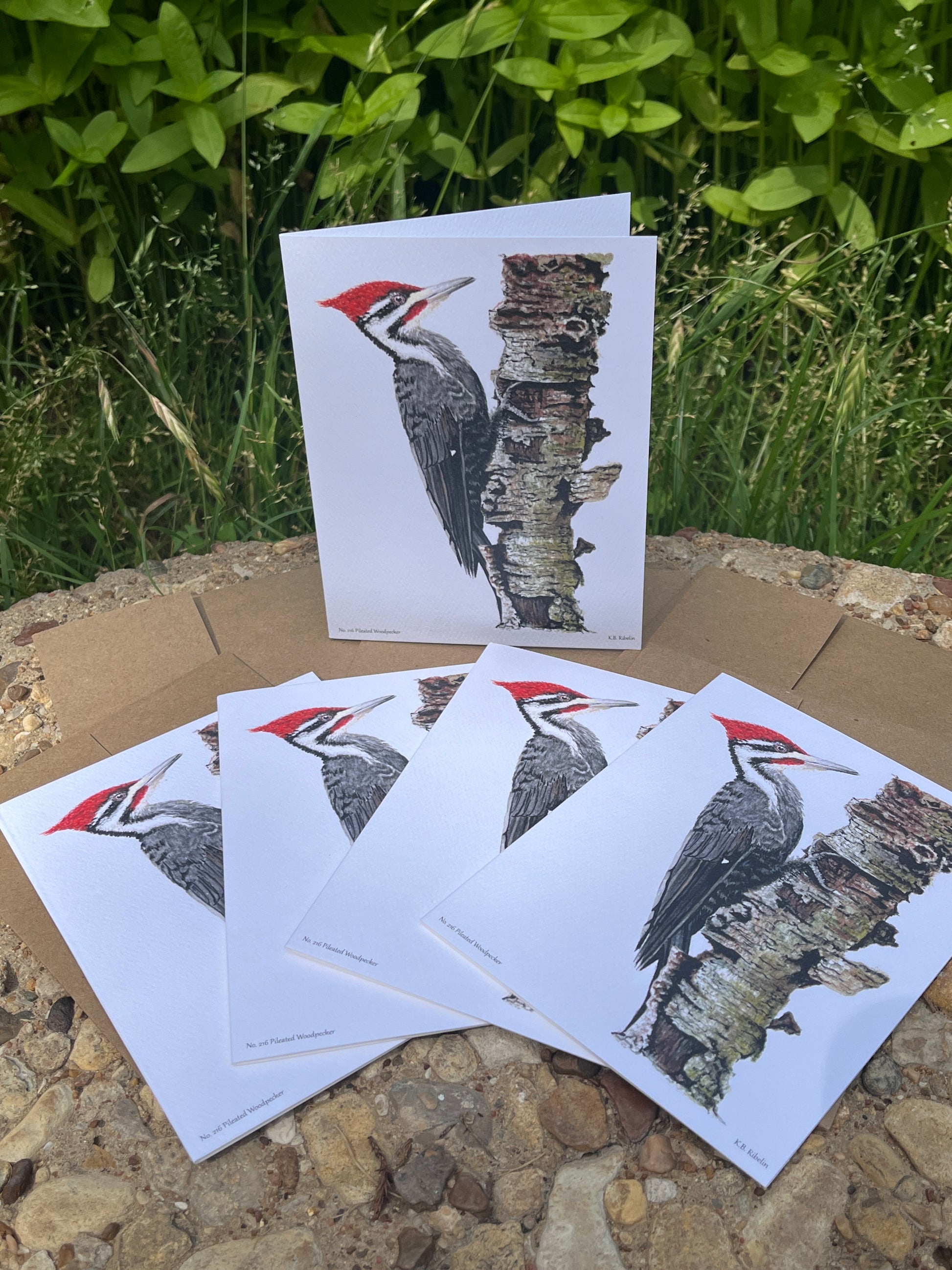 Pileated Woodpecker - Bird Art by KB - Notecard Set