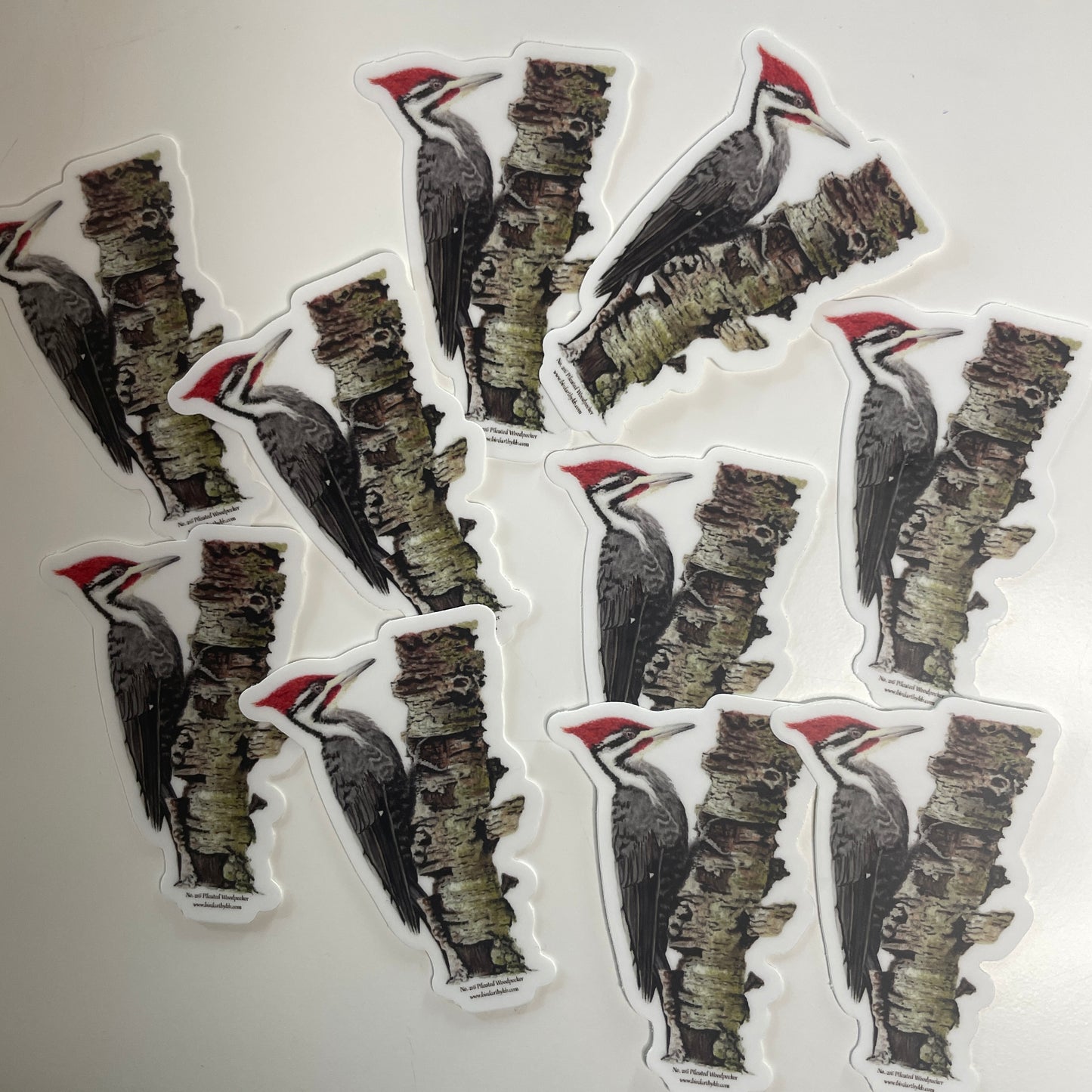 Pileated Woodpecker - Bird Art by KB - Sticker