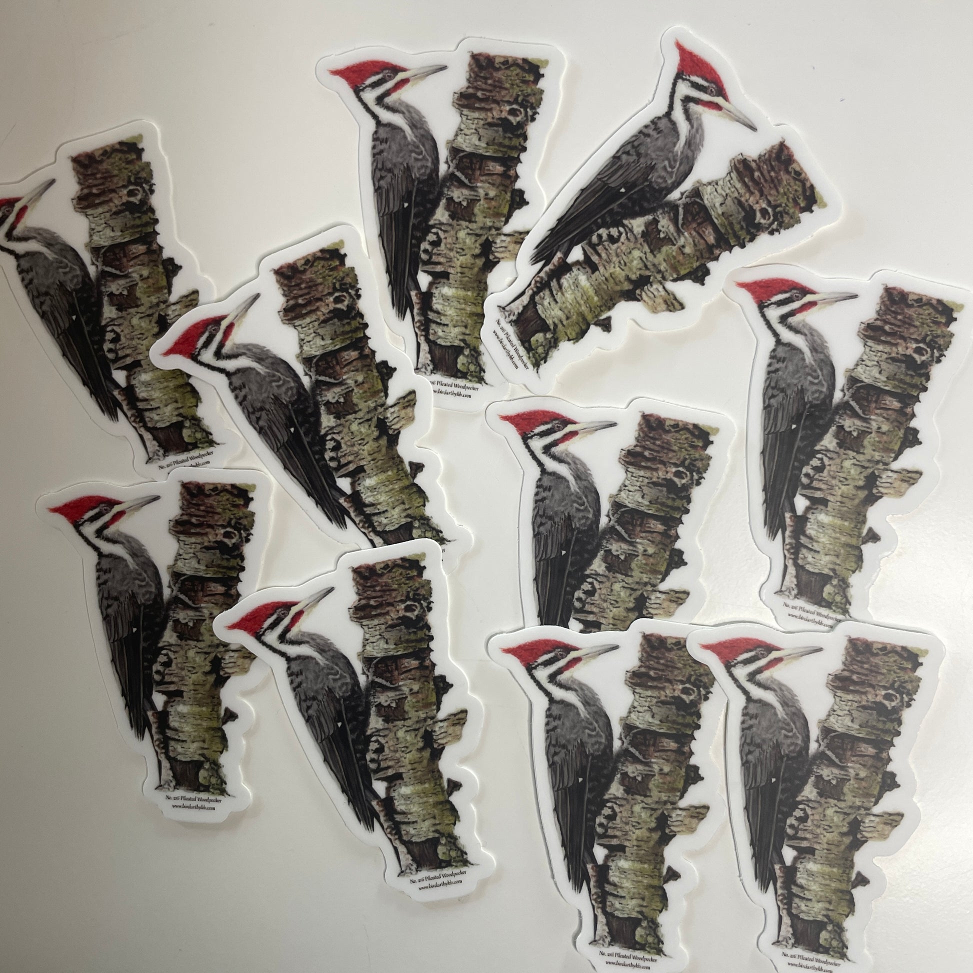 Pileated Woodpecker - Bird Art by KB - Sticker
