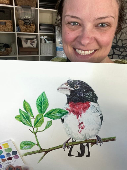 Rose-breasted Grosbeak - Bird Art by KB - Original