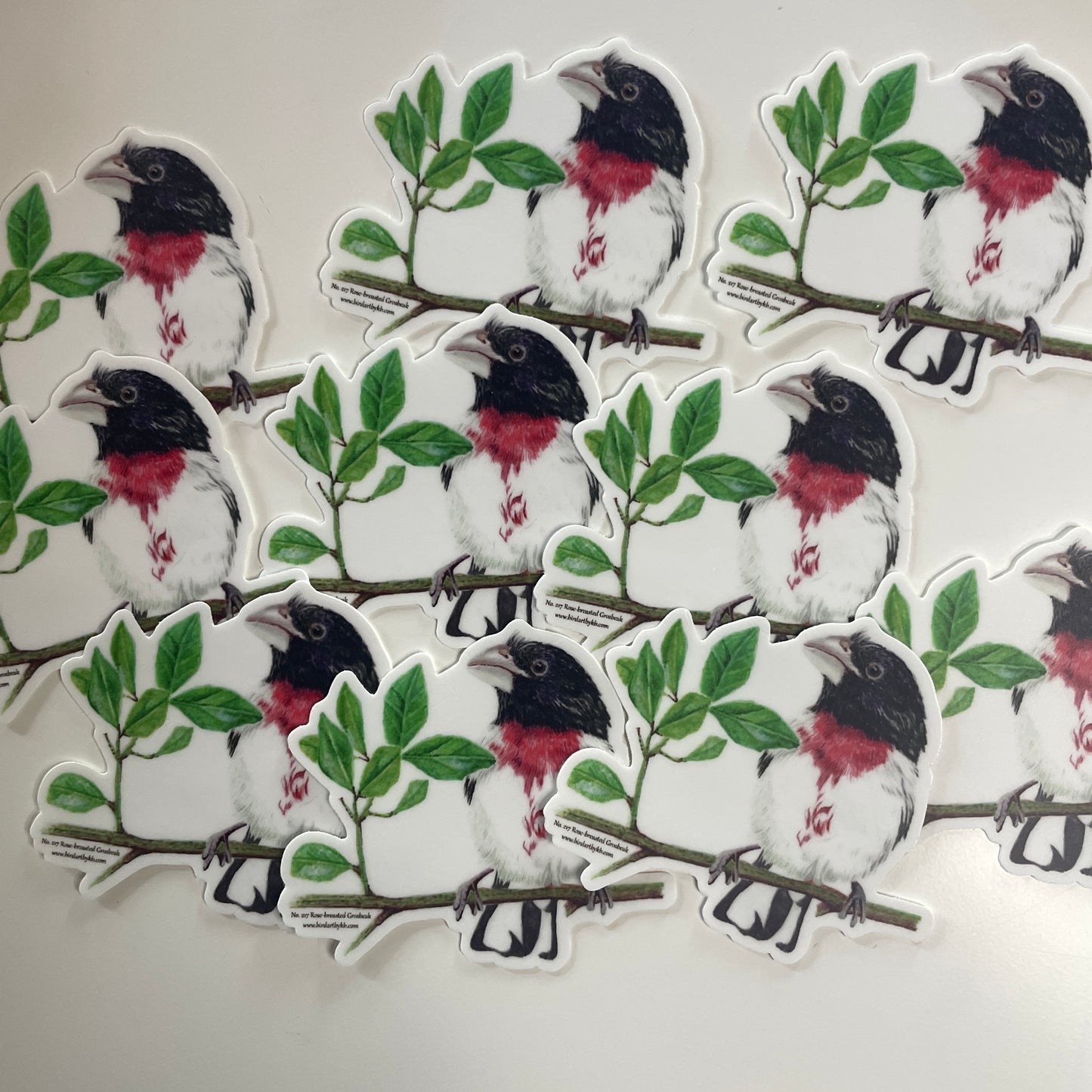 Rose-breasted Grosbeak - Bird Art by KB - Sticker