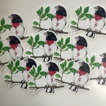 Rose-breasted Grosbeak - Bird Art by KB - Sticker
