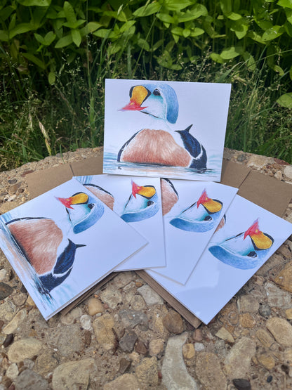 King Eider - Bird Art by KB - Notecard Set