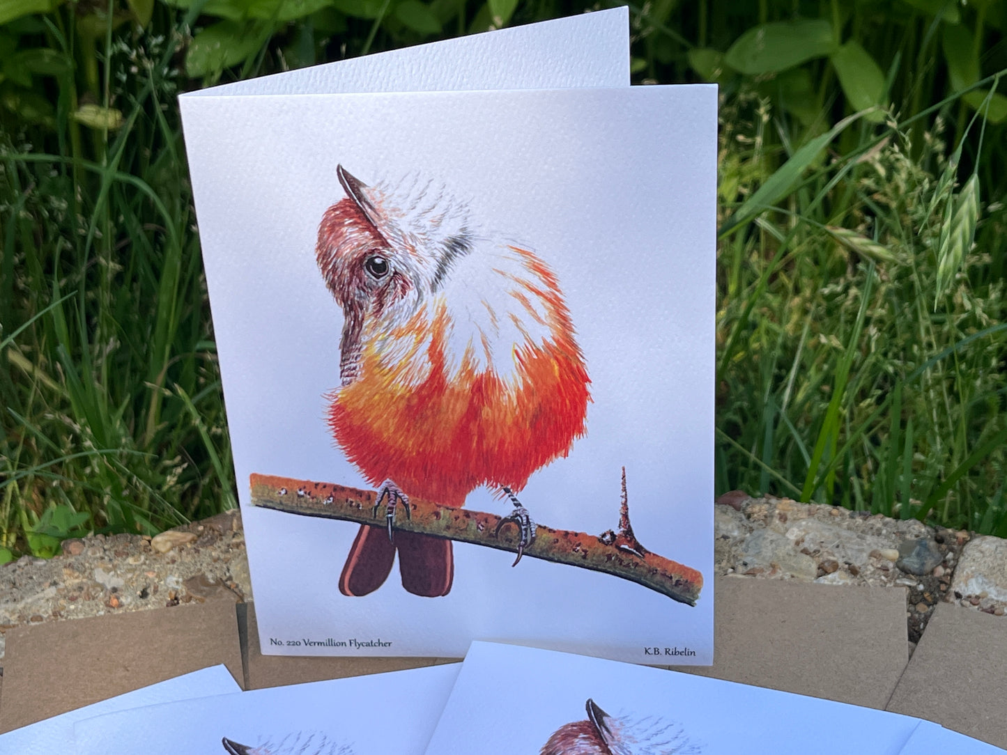 Vermillion Flycatcher - Bird Art by KB - Notecard