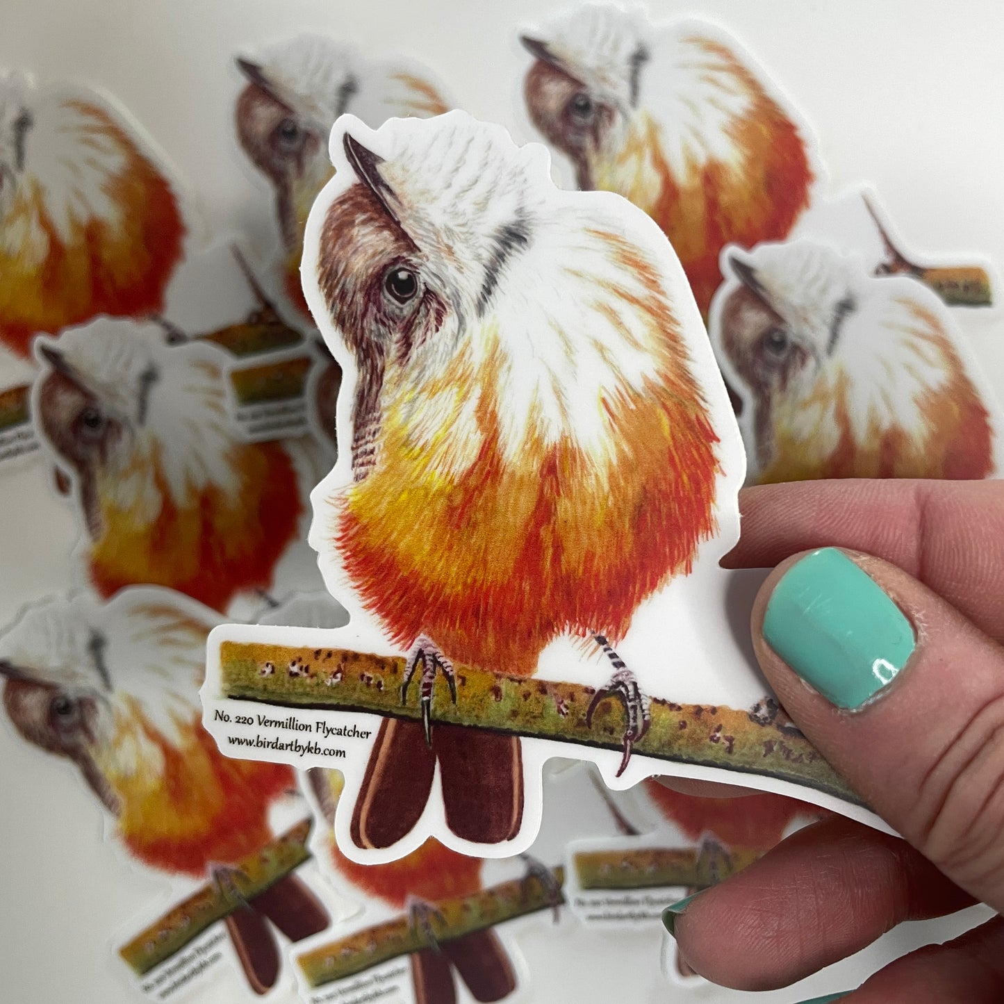 Vermillion Flycatcher - Bird Art by KB - Sticker