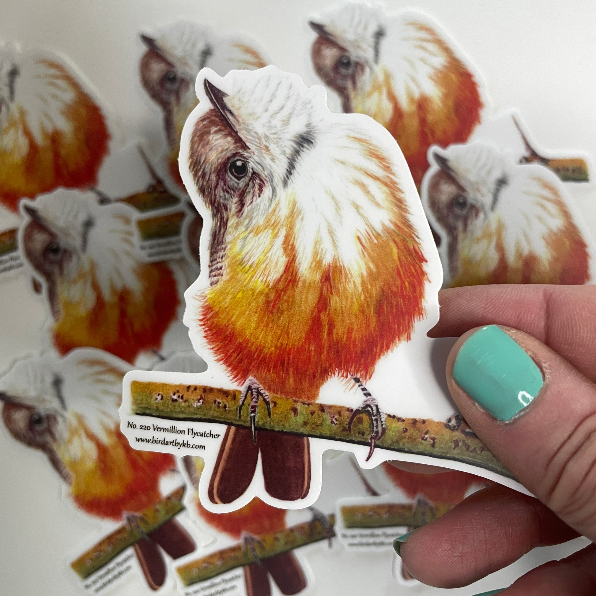 Vermillion Flycatcher - Bird Art by KB - Sticker