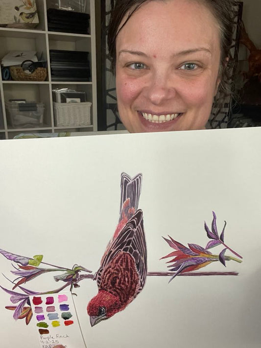 Purple Finch - Bird Art by KB - Original