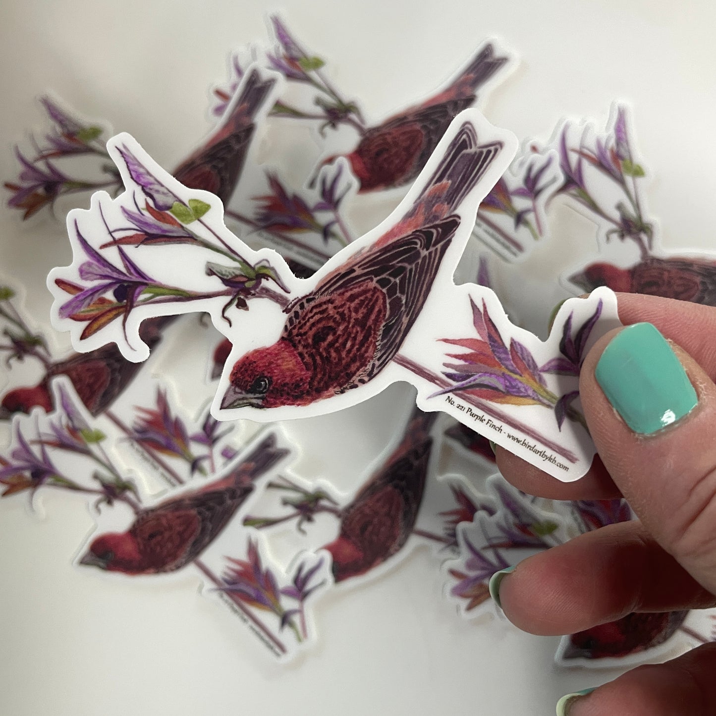 Purple Finch - Bird Art by KB - Sticker