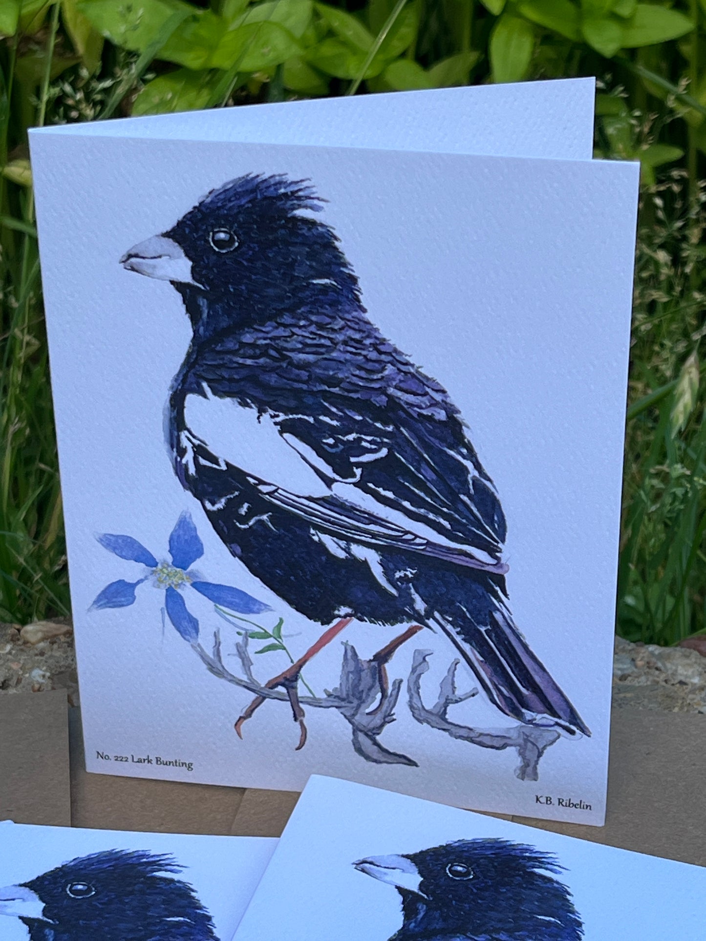 Lark Bunting - Bird Art by KB - Notecard