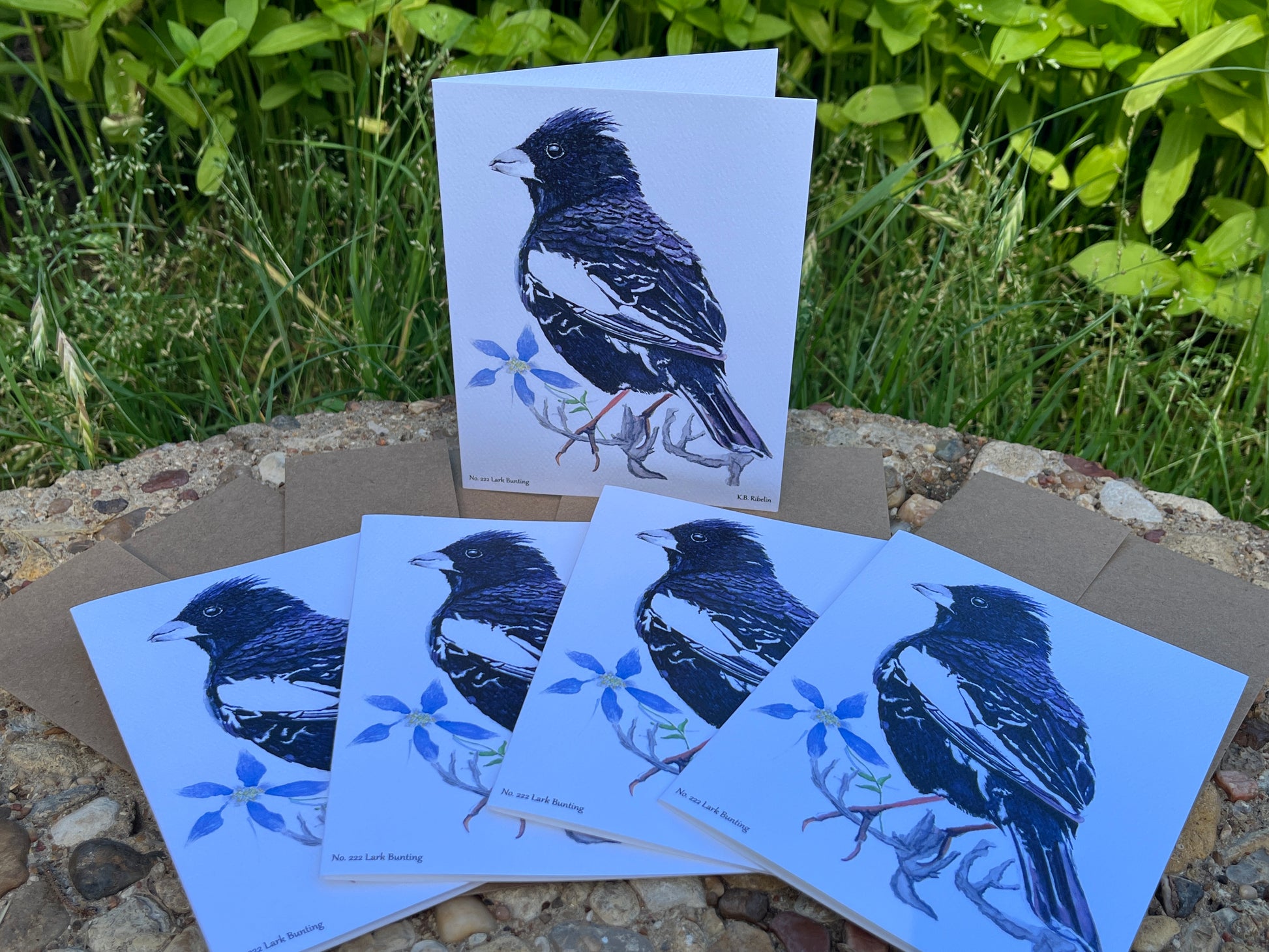 Lark Bunting - Bird Art by KB - Notecard Set
