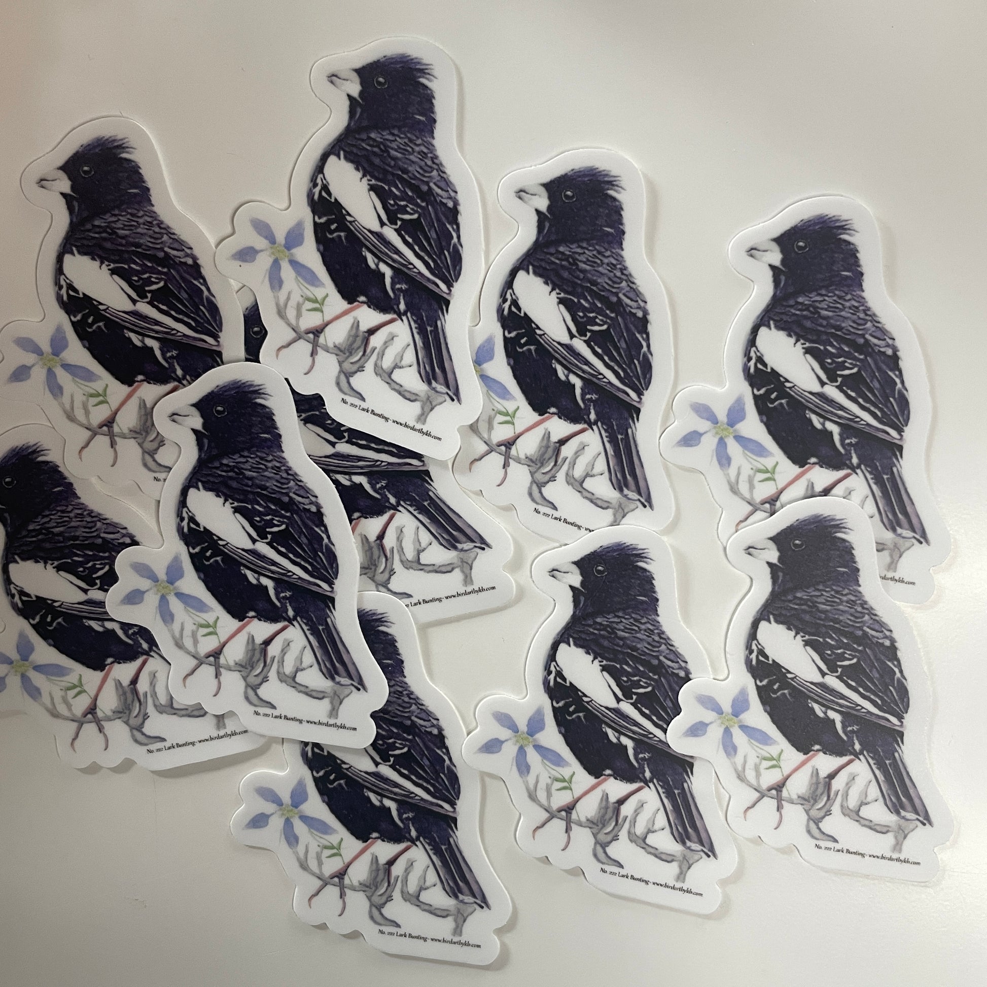 Lark Bunting - Bird Art by KB - Sticker