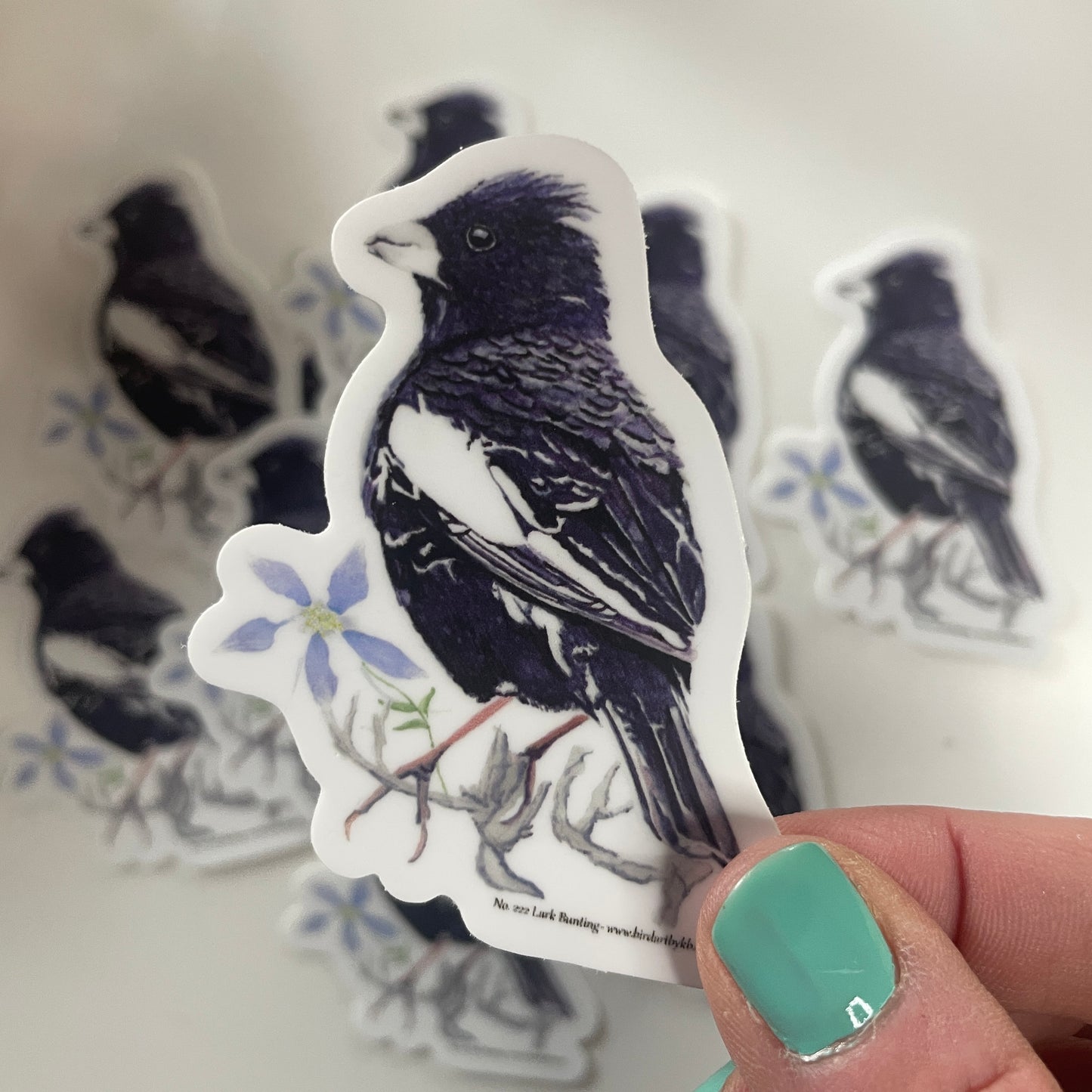 Lark Bunting - Bird Art by KB - Sticker