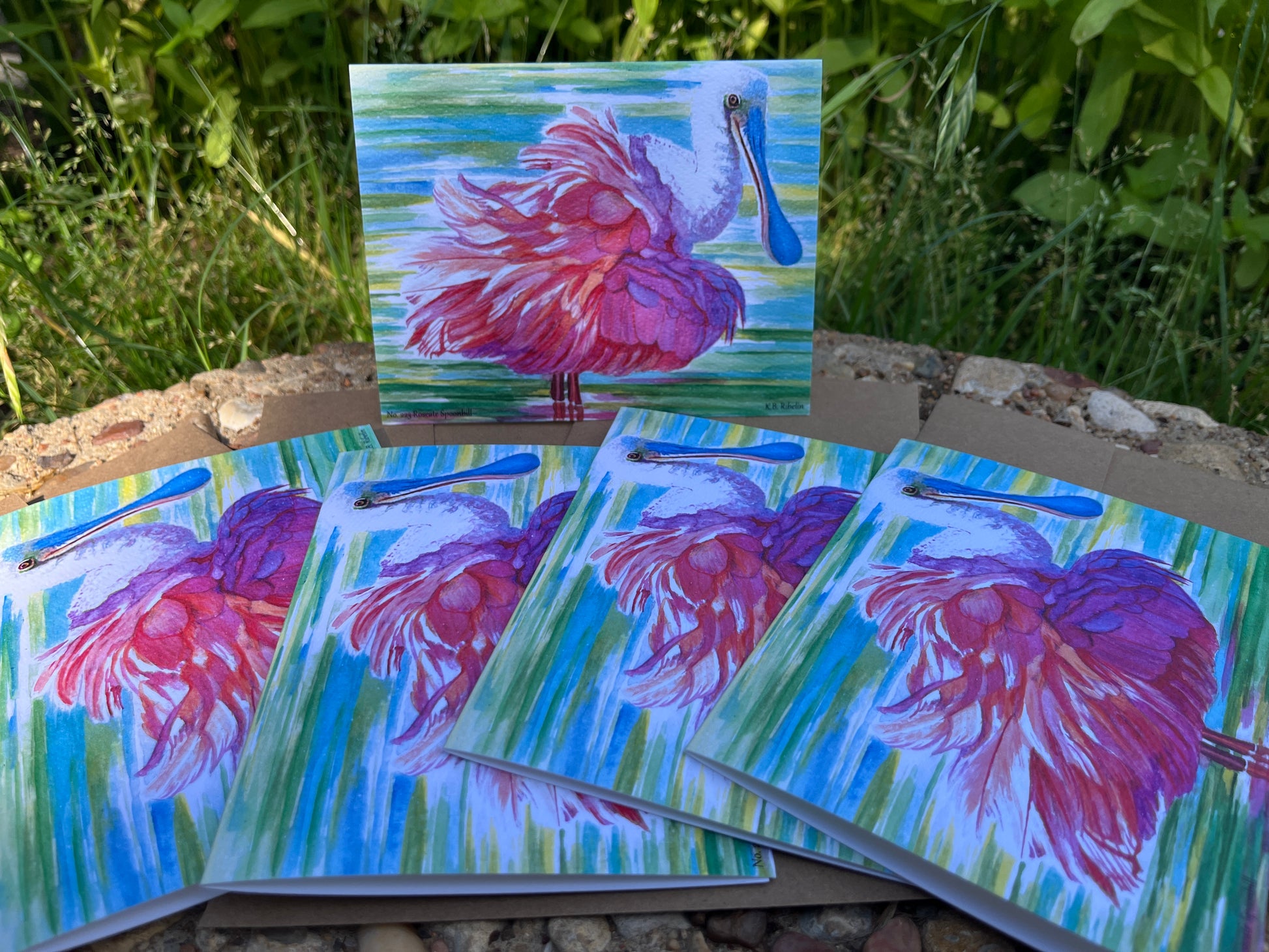 Roseate Spoonbill - Bird Art by KB - Notecard Set