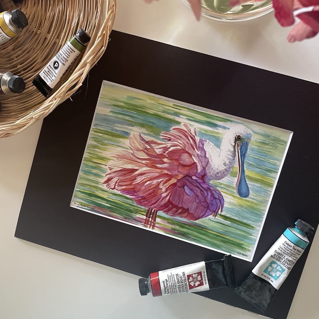 Roseate Spoonbill - Bird Art by KB - Giclee Print with Black Mat