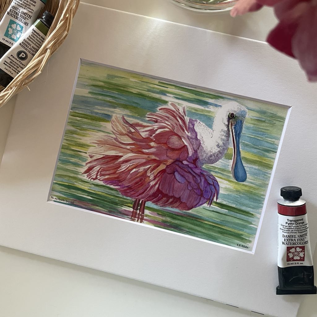 Roseate Spoonbill - Bird Art by KB - Giclee Print with White Mat