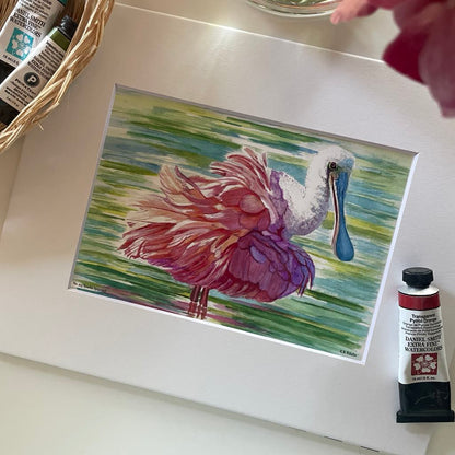 Roseate Spoonbill - Bird Art by KB - Giclee Print with White Mat