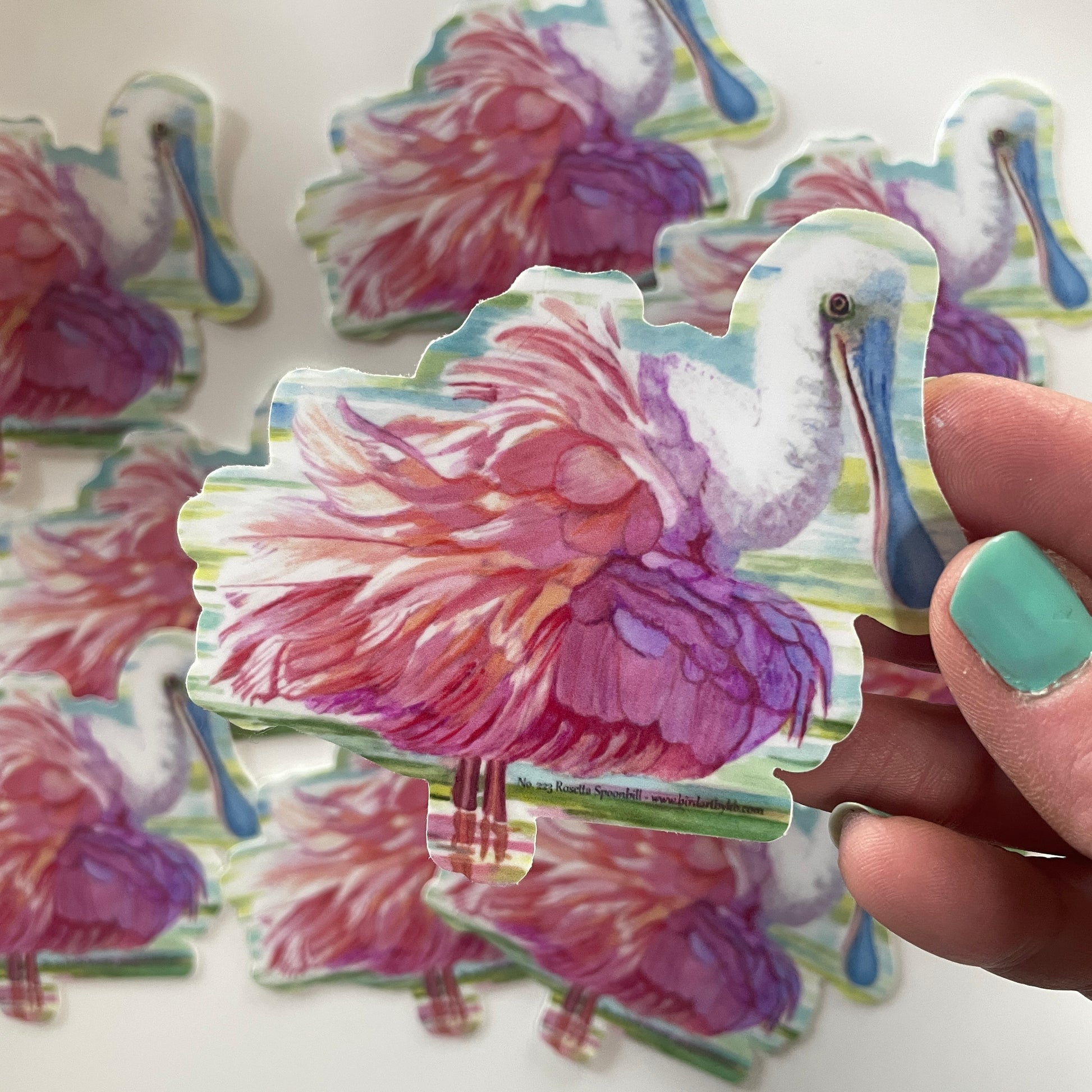 Roseate Spoonbill - Bird Art by KB - Sticker