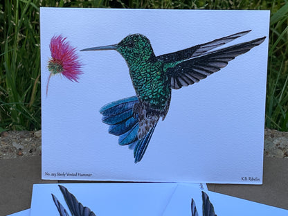 Steely Vented Hummer - Bird Art by KB - Notecard