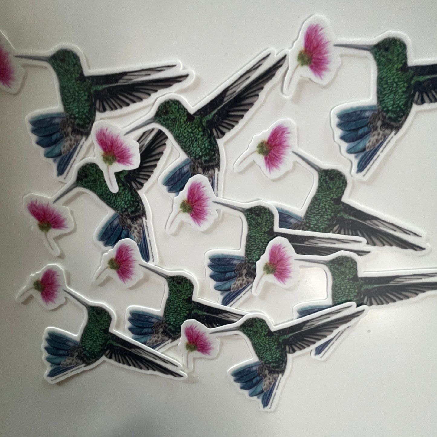 Steely Vented Hummer - Bird Art by KB - Stickers