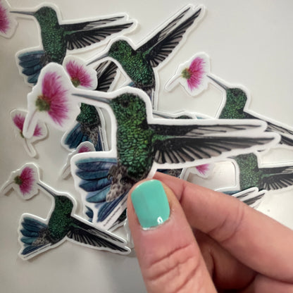 Steely Vented Hummer - Bird Art by KB - Stickers
