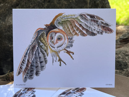 Barn Owl - Bird Art by KB - Notecard