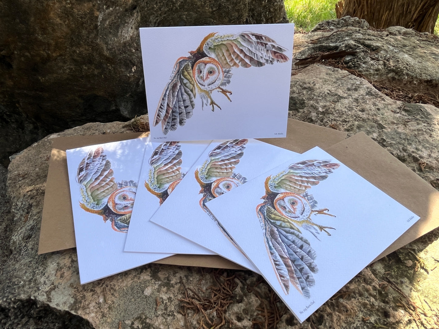 Barn Owl - Bird Art by KB - Notecard Set