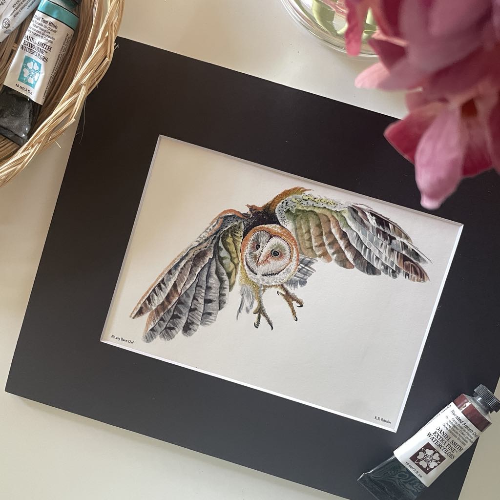 Barn Owl - Bird Art by KB - Giclee Print with Black Mat