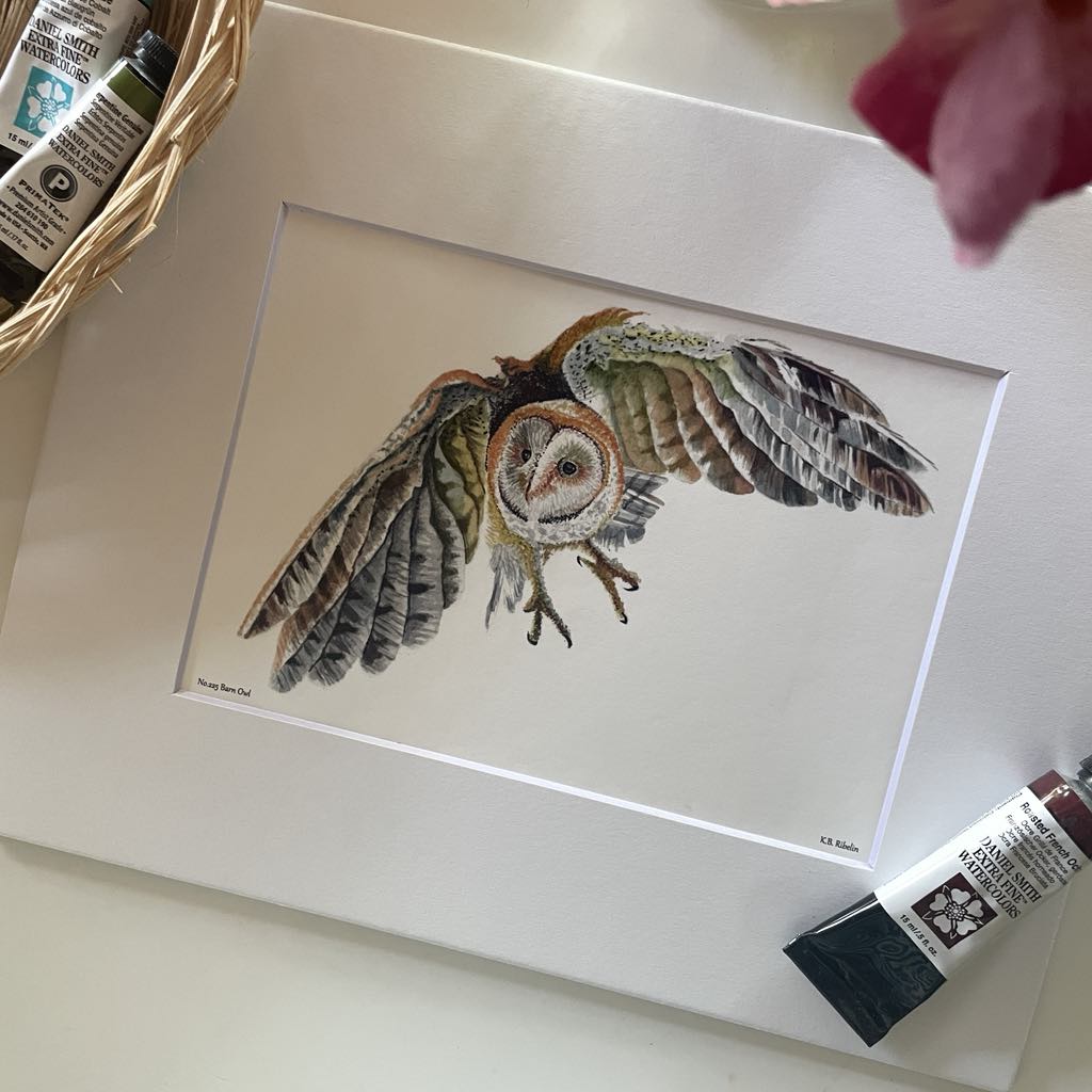 Barn Owl - Bird Art by KB - Giclee Print with White Mat