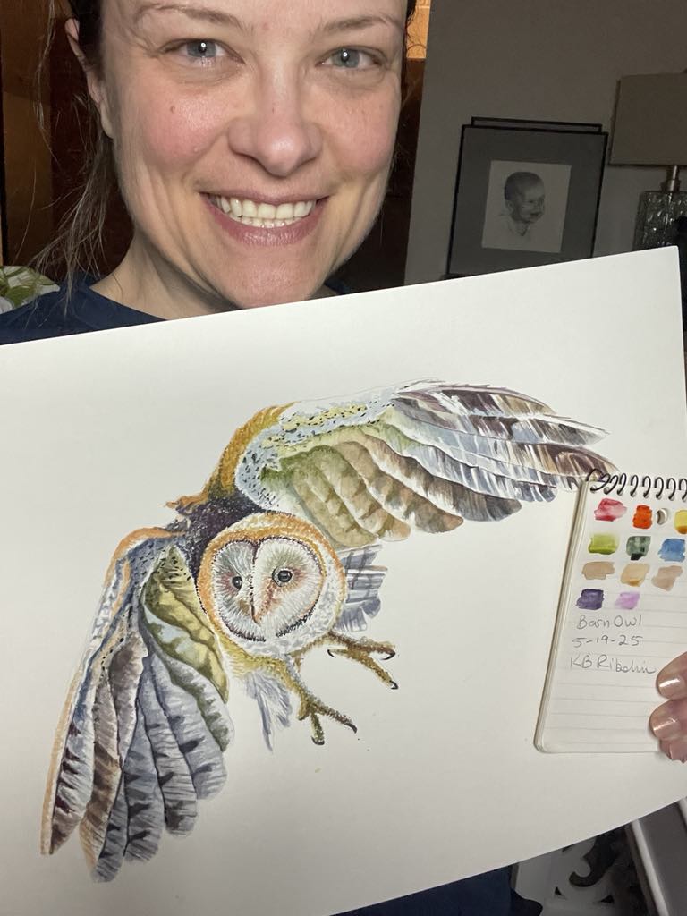 Barn Owl - Bird Art by KB - Original