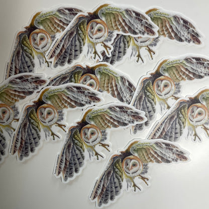 Barn Owl - Bird Art by KB - Sticker