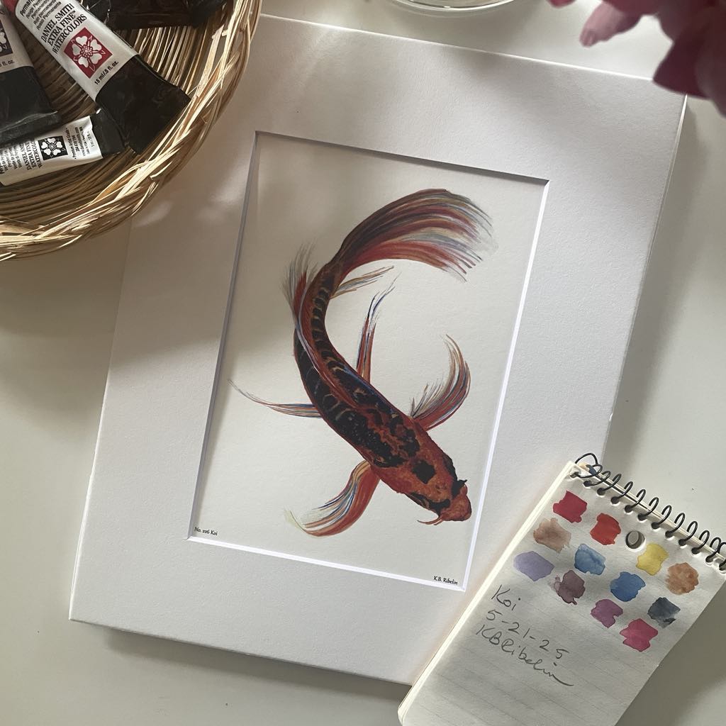 Koi - Bird Art by KB - Giclee Print with White Mat