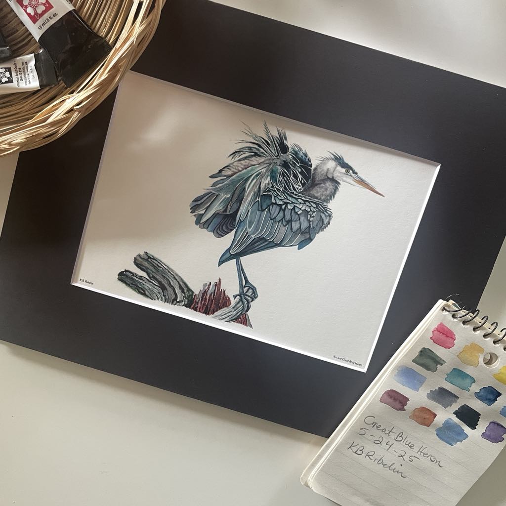 Great Blue Heron - Bird Art by KB - Giclee Print with Black Mat