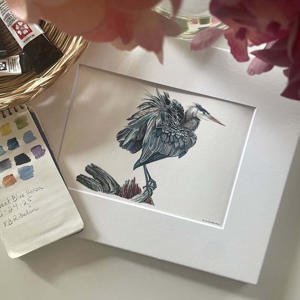 Great Blue Heron - Bird Art by KB - Giclee Print with White Mat