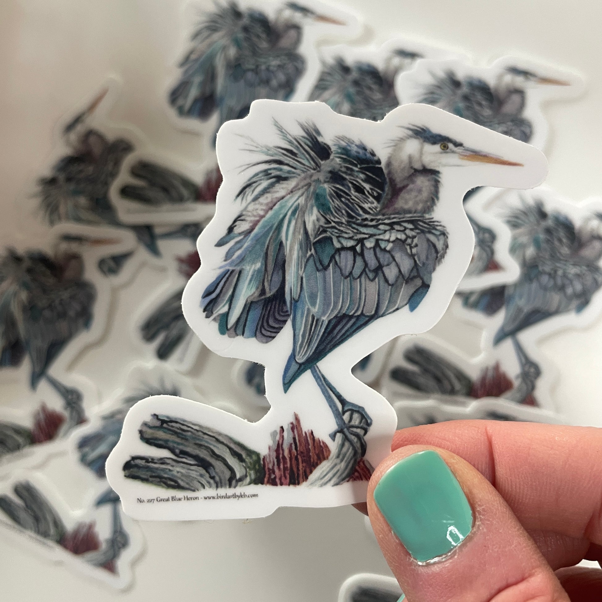 Great Blue Heron - Bird Art by KB - Sticker