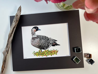 Nene - Bird Art by KB - Giclee Print with Black Mat
