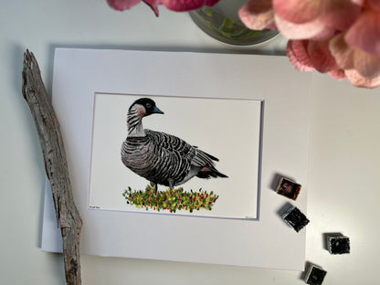 Nene- Bird Art by KB - Giclee Print with White Mat