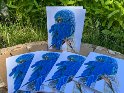 Hyacinth Macaw - Bird Art by KB - Notecard Set