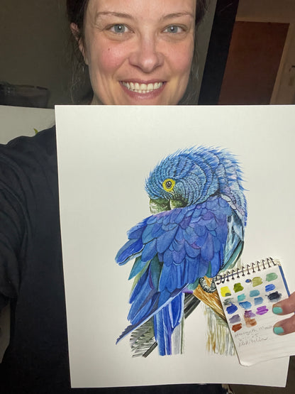 Hyacinth Macaw - Bird Art by KB - Original