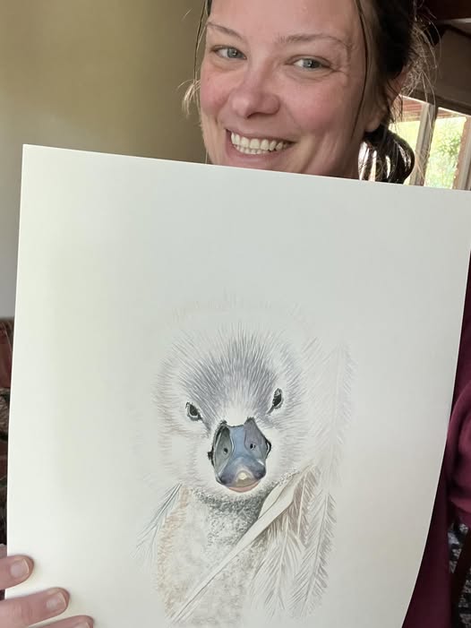 Mute Swan Cygnet - Bird Art by KB - Original