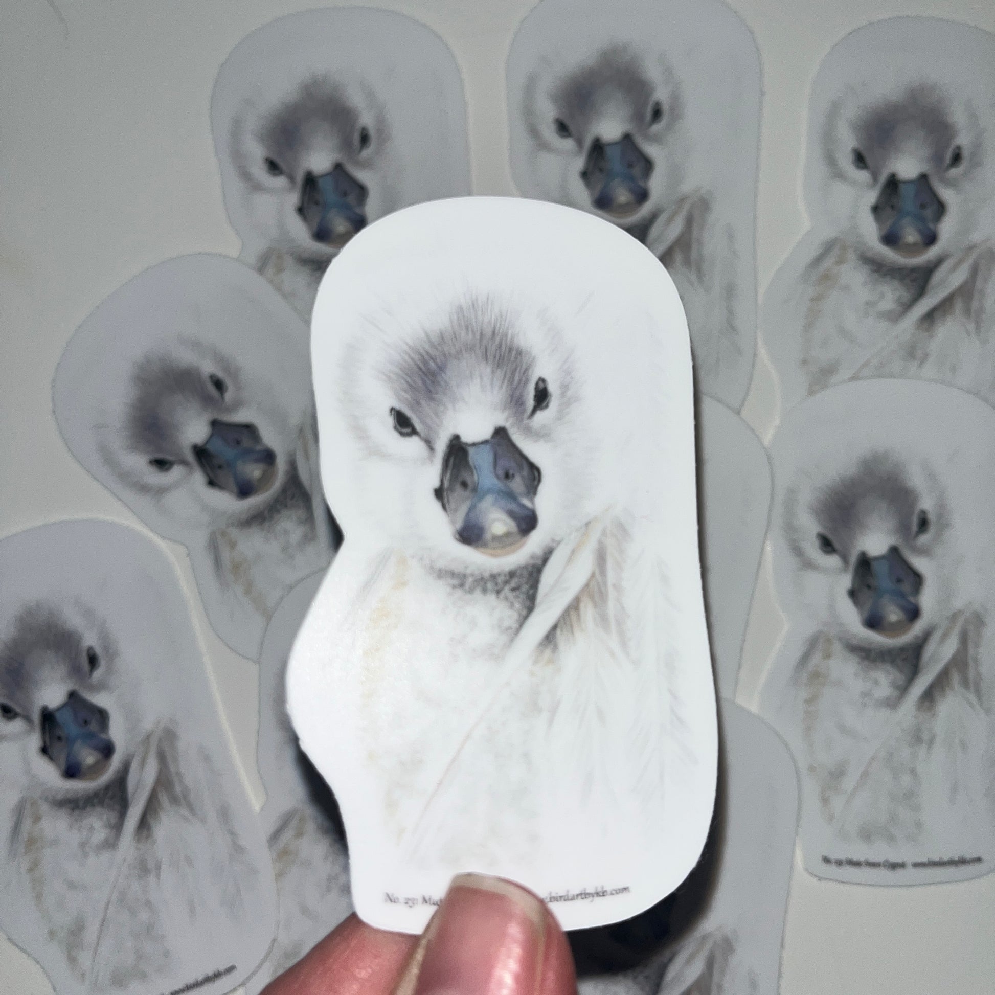Mute Swan Cygnet - Bird Art by KB - Sticker