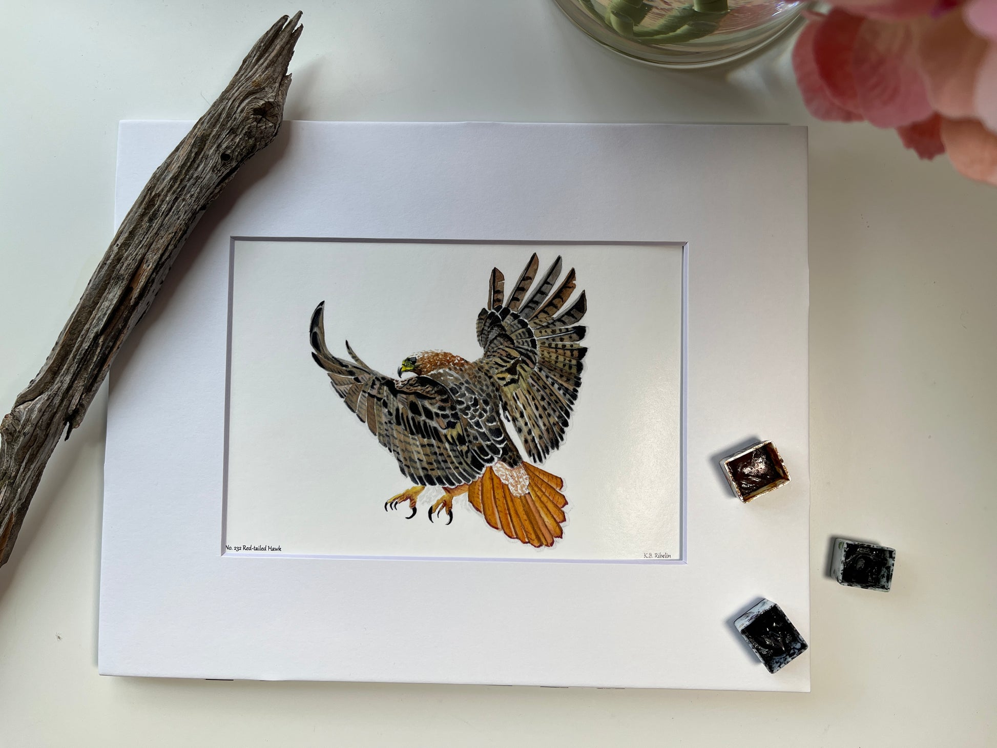 Red-tailed Hawk - Bird Art by KB - Giclee Print with White Mat