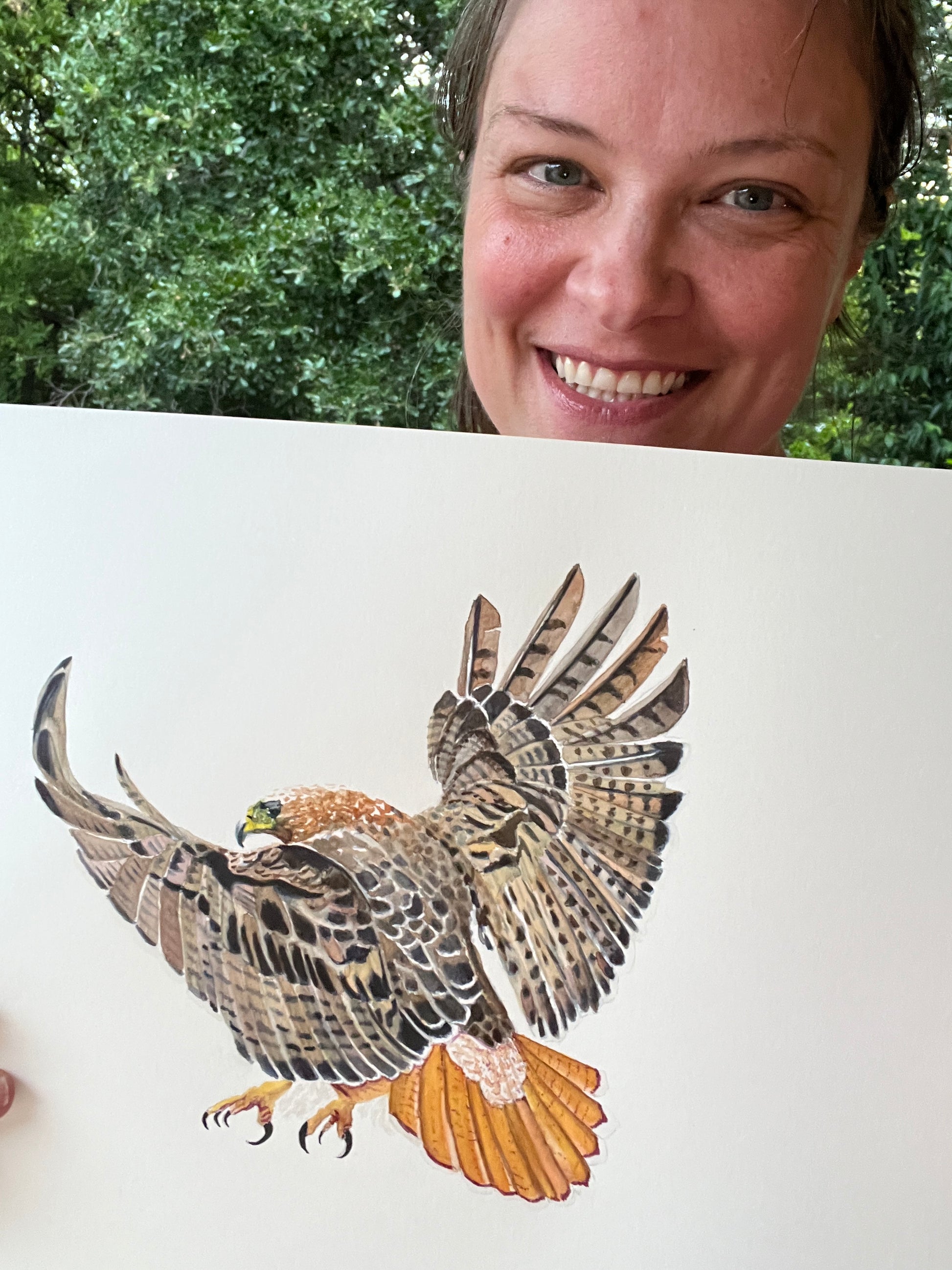 Red-tailed Hawk - Bird Art by KB - Original