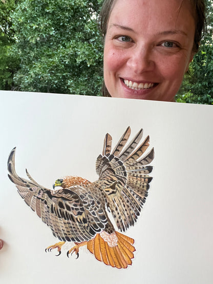 Red-tailed Hawk - Bird Art by KB - Original