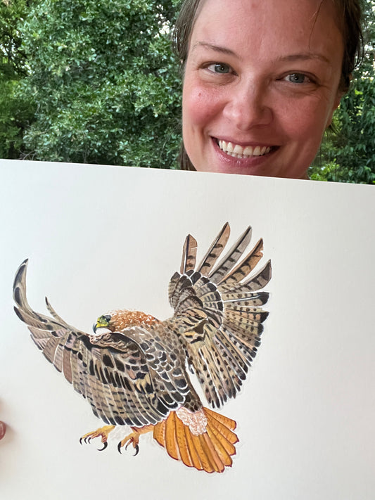 Red-tailed Hawk - Bird Art by KB - Original