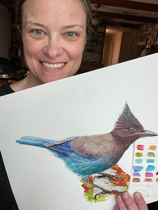 Steller Jay - Bird Art by KB - Original