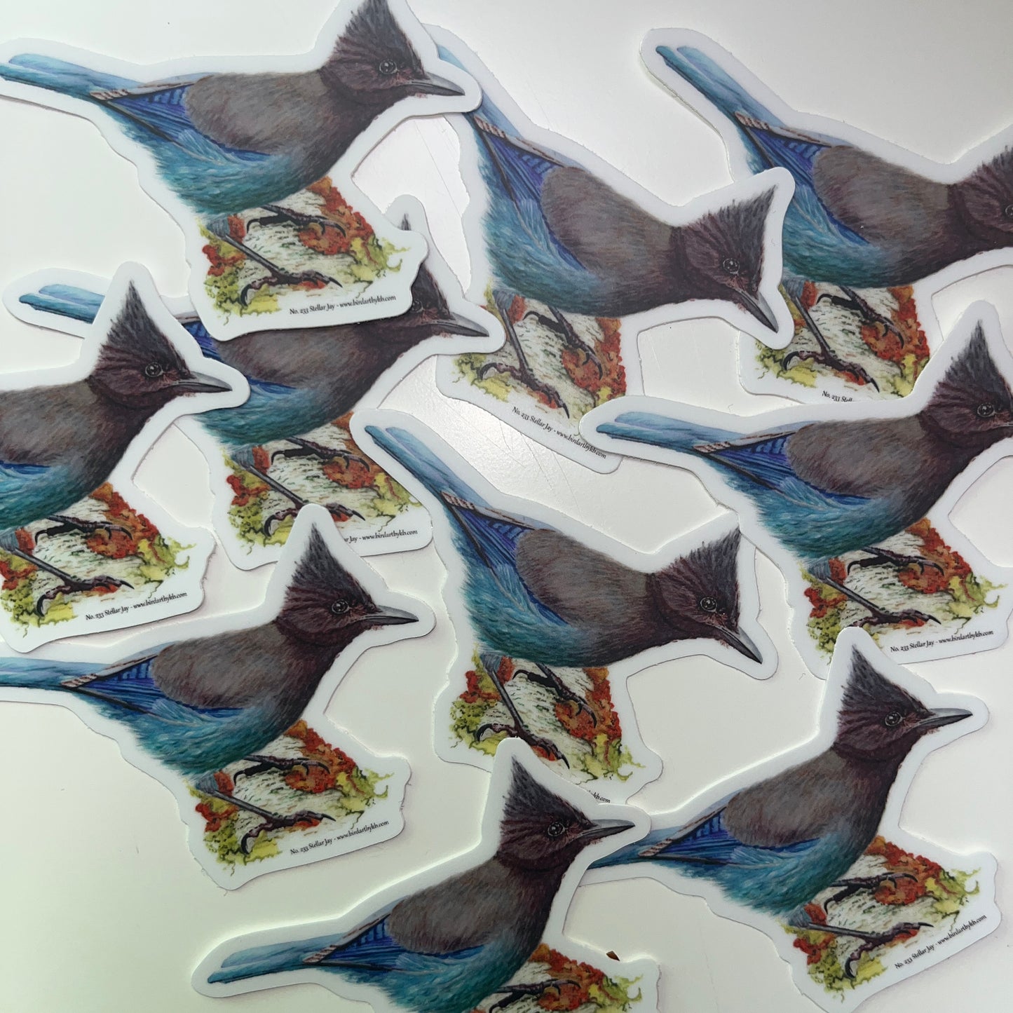 Steller Jay - Bird Art by KB - Sticker