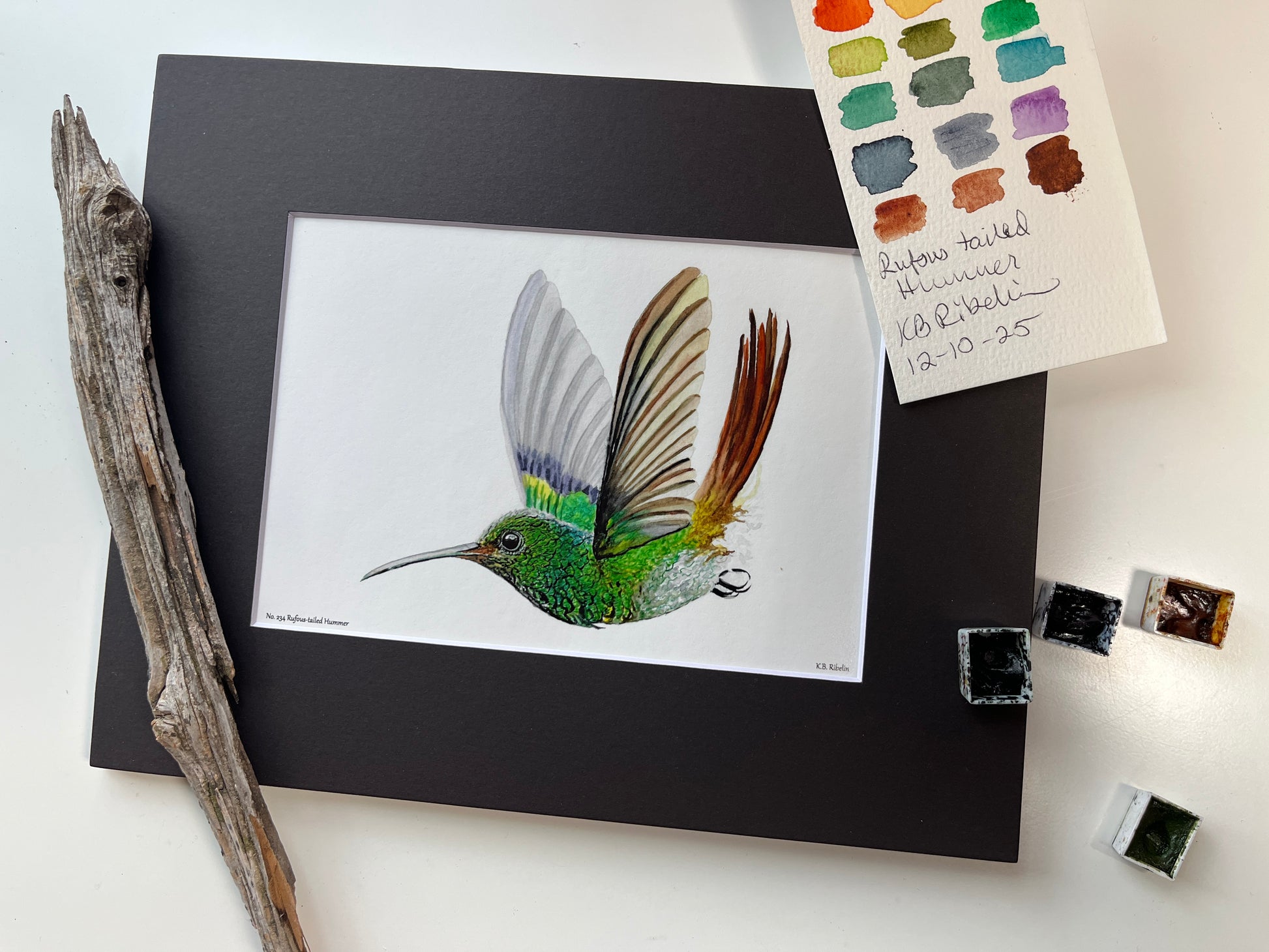 Rufous-tailed Hummer - Bird Art by KB - Giclee Print with Black Mat