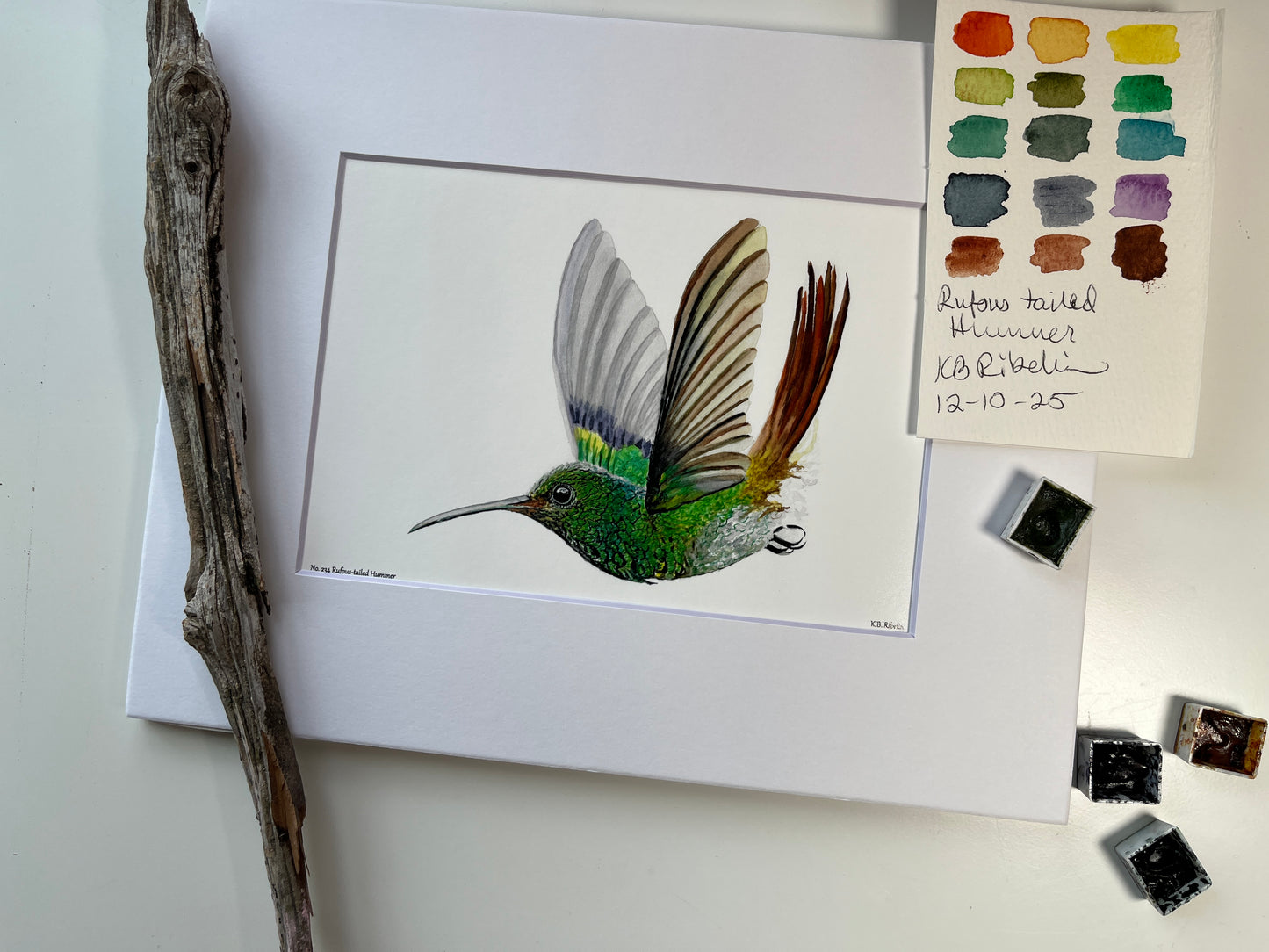 Rufous-tailed Hummer - Bird Art by KB - Giclee Print with White Mat