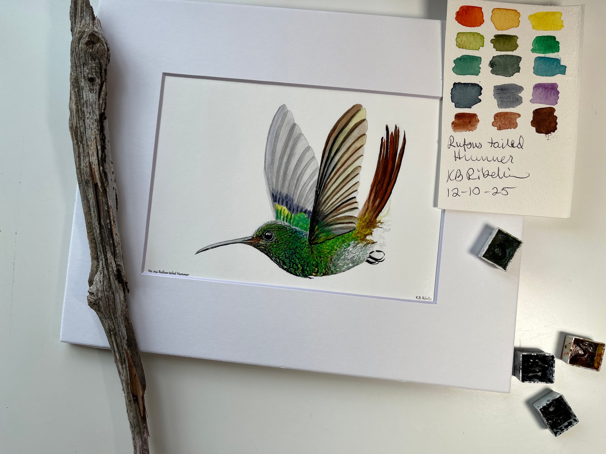 Rufous-tailed Hummer - Bird Art by KB - Giclee Print with White Mat
