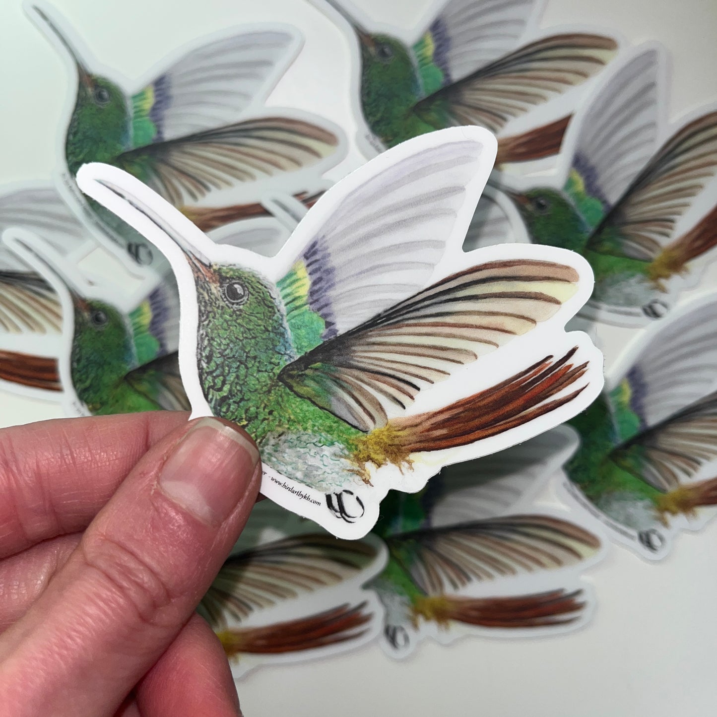 Rufous-tailed Hummer - Bird Art by KB - Sticker